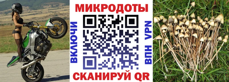 Купить  Высоцк  Галлюциногенные грибы мухоморы 